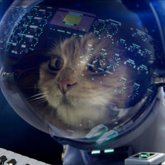 Cats Returning Home From Space