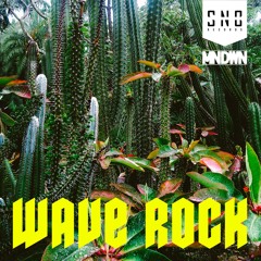 So Not Berlin Records [SNB005] - MNDWN - Wave Rock