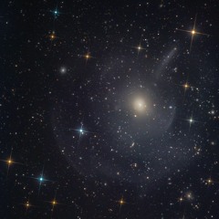 Strangers In The Night: Dominik Löblich