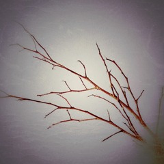 Soundcloud Free Releases