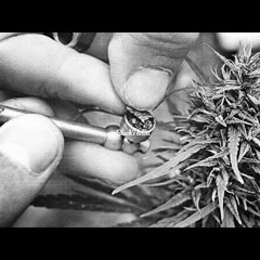 StaFFopd63 - Мой Растафарай﻿ ✵