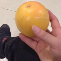 Farewell To Erin / Sally Gardens