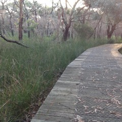 The Very Next Bend