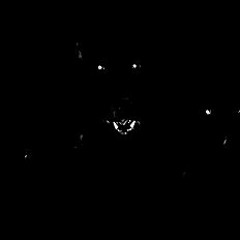 Big Steala (slowed snippet)