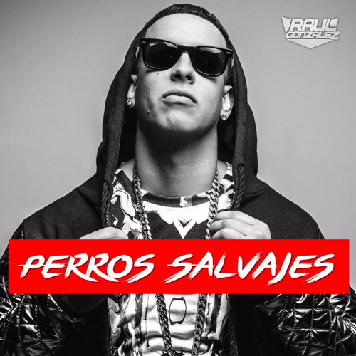 Stream Daddy Yankee - Perros Salvajes (Raúl González Remix) by Raúl  González | Listen online for free on SoundCloud