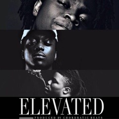 Profound x Haywire x Nicotine - ELEVATED(Prod by. ChordraticBeats)