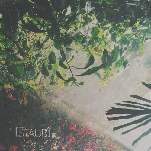 STAUB #43
