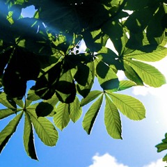 22_know that is wrong_billy_paul_live_chop