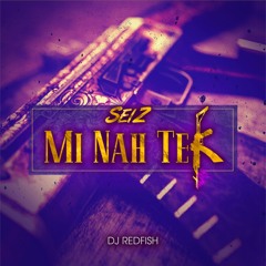 Seiz & Dj Redfish - Mi Nah Tek (Pum Pum Damage Riddim) 2017