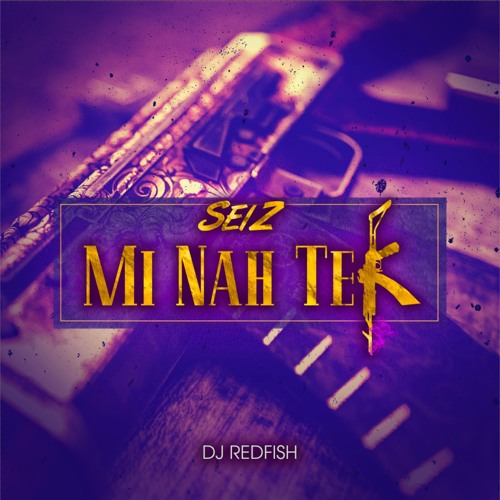 Seiz & Dj Redfish - Mi Nah Tek (Pum Pum Damage Riddim) 2017