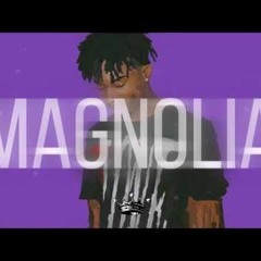 Playboi Carti - Magnolia (INSTRUMENTAL REMAKE)