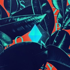 SZPN01