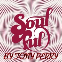 SOULFUL HOUSE MUSIC BY TONY PERRY 2017