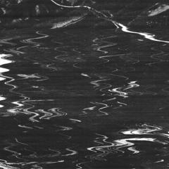 𝓯𝓸𝓻𝓰𝓮𝓽