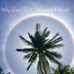 Why Nam Vol 11 - Wonderful World (Pt 1 - From Stillness)