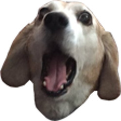 Crazy Dog (Feat. RyuQuezacotl)