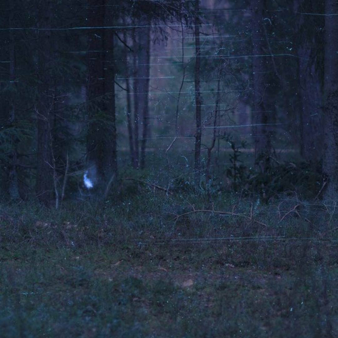 Listen to Will - O' - Wisp by ᑡlepsydra in ᑡlepsydra playlist