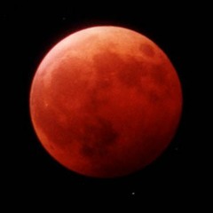 Meet The Boys on the battlefront