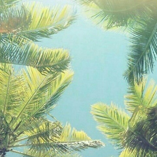 ROLEX (Trusterjaxx REMIX)