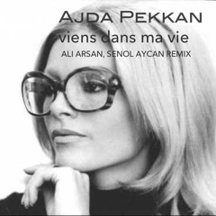Ajda Pekkan - Viens Dans Ma Vie (Ali Arsan, Senol Aycan Remix)