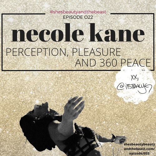 Ep 022 | Necole Kane: Perception, Pleasure and 360 Peace