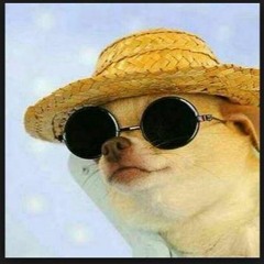 dank Meme