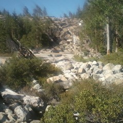 When I Miss My Musician Friends