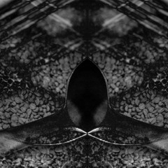 Sense Impression - Counterbalance [ÅẸ Free DL]