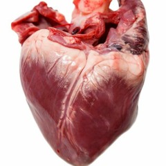 Ben Arslan - Love Is A Good Thing