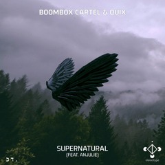 Boombox Cartel & QUIX - Supernatural (Stereotype Remix)