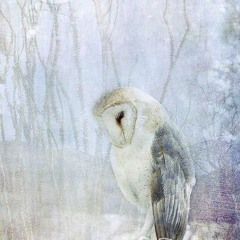 GHOST OWL