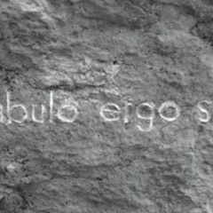 Ambulo Ergo Sum- Divagando Ensayo