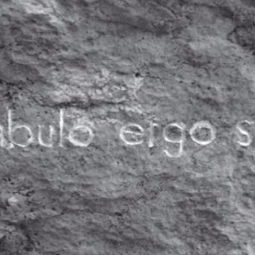 Ambulo Ergo Sum- Divagando Ensayo