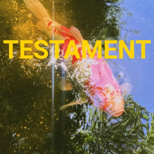 Testament