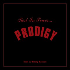 Rest In Power (Sleepy Raccoon Tribute Mix)