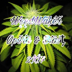 WeedWaker - - Opera & Blast 2X17 [4 Moana De HAO]