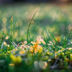 Sequal To Storm (short)