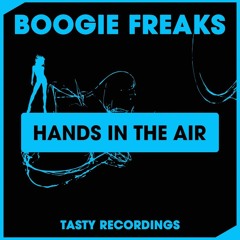 Boogie Freaks - Hands In The Air (Original Mix)