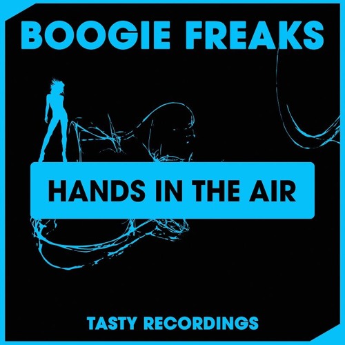 Boogie Freaks - Hands In The Air (Original Mix)