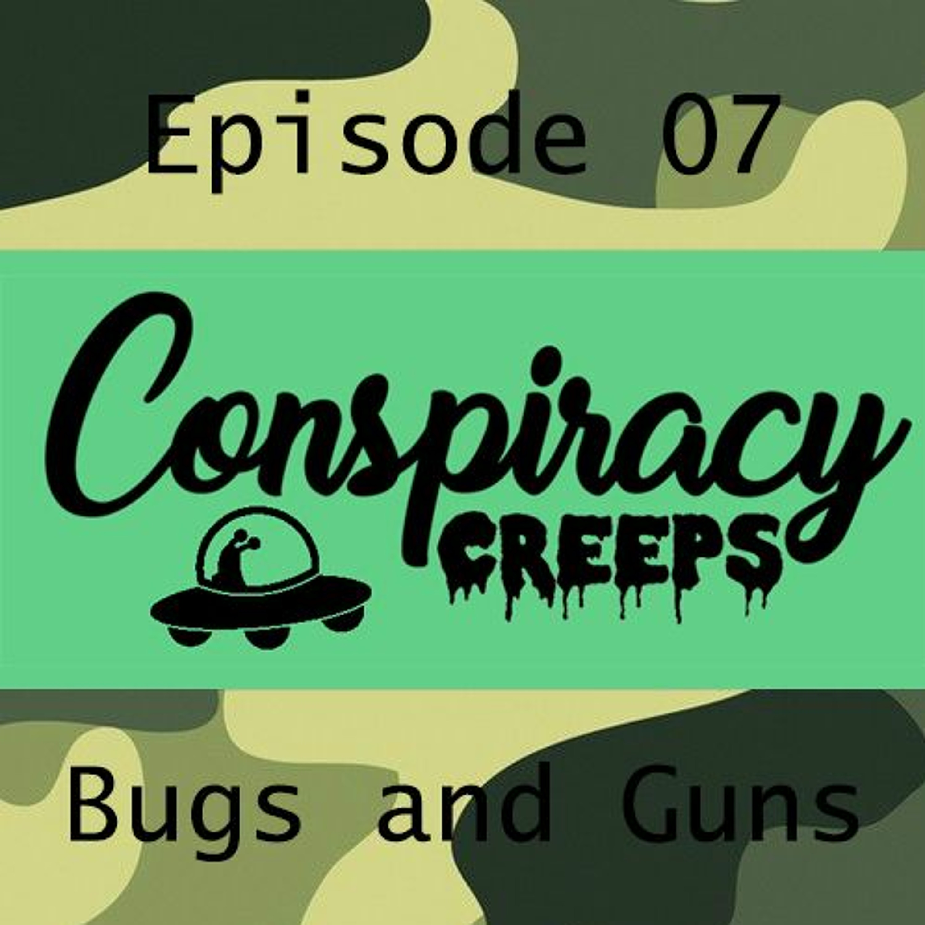 07 - Bugs and Guns episode artwork