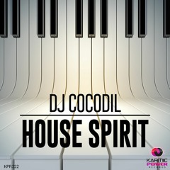 Dj Cocodil - House Spirit (Instrumental Mix)