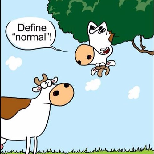It must be normal