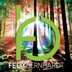 Felix Bernhardt - Die Wildniss will es (free download)