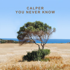 You Never Know (Simon Field Remix)