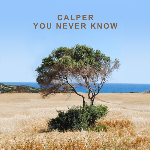 You Never Know (Simon Field Remix)