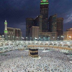 تلاوة هادئه  تفيض جمالاً أرح بها بالك ومسمعك