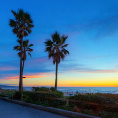 Melody Of The Beach (Created Using Google)