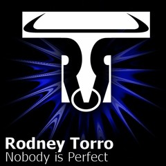 Nobody Is Perfect (Original Mix)