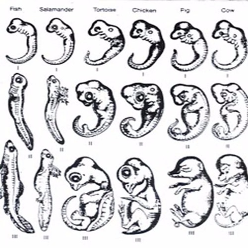 B.E.A.T.S__F.R.O.M__A.N.O.T.H.E.R__M.O.T.H.E.R