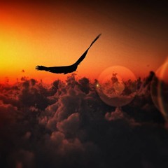 FortyTwo - Eagle Vision (Original Mix)[PSY/GOA]
